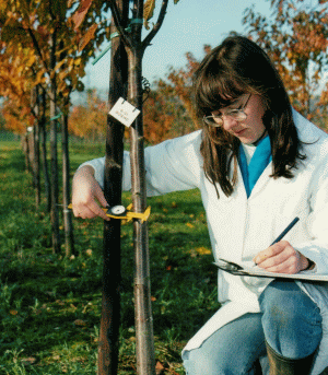 Cercetarea nu-şi mai găseşte terenurile agricole