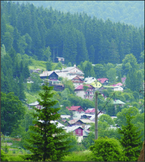 PRAHOVA: Licitaţii pentru concesionarea de terenuri în Sinaia