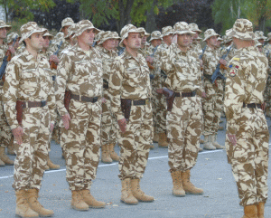 Problema pensiilor militare, în dezbatere la Palatul Victoria 