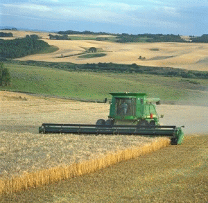 Divizia Cereale, 60% din afacerile grupului Agricover