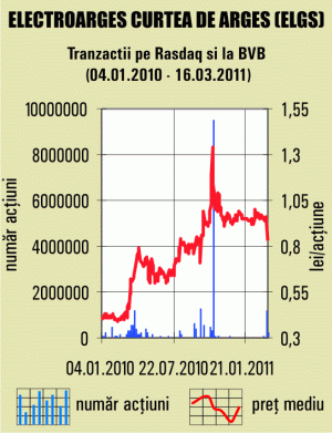 "Electroargeş" păstrează profitul pe 2010 pentru dezvoltare 