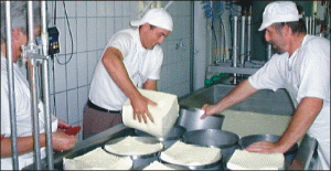 Producătorii de brânză îşi vor putea vinde produsele pe piaţa naţională până la 1 ianuarie 2008