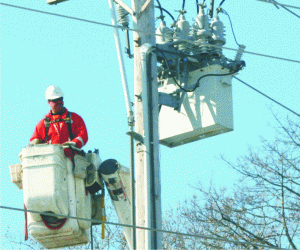 Compania unică de furnizare a "Electrica", gata în aprilie