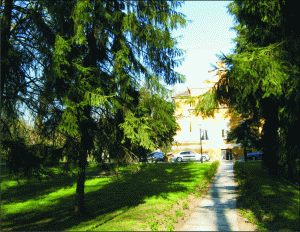 Arborii seculari din parcul casteluli vor fi declaraţi monumente ale naturii.