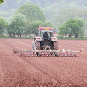 Ministerul Agriculturii închide afacerile IFN-urilor