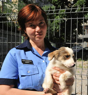 Campania "Adoptă un câine" continuă în parcul Bazilescu