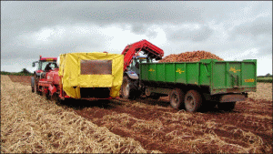 MADR: Fondurile europene pentru agricultură pot fi reduse, şi nu sistate