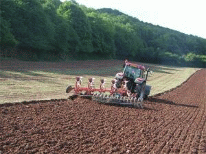 Rusia majorează sprijinul pentru agricultură, în 2012