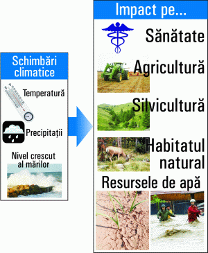 Schimbările climatice majore afectează economia europeană