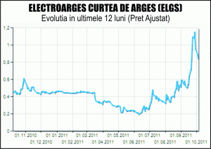 Amenzi la "Electroargeş" pentru neinformarea corespunzătoare a acţionarilor