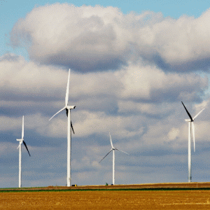 Posibil bubble pe piaţa de energie