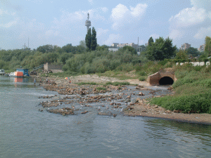 Transportatorii pierd de milioane de euro din cauza îngheţului Dunării