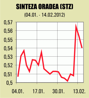 "Sinteză" Oradea, pierdere de 1,33 milioane de lei