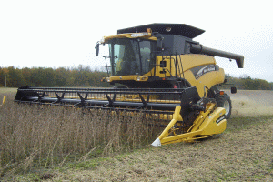 Agricultura şi industria au ridicat economia