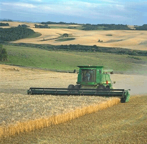 Stelian Fuia a precizat că Ministerul Agriculturii nu este de acord ca utilajele agricole să fie impozitate la fel ca "jeep-urile de pe şosea" şi că discută, în acest sens, cu reprezentanţii Ministerului Finanţelor Publice. "Există, la Camera Deputaţilor, un proiect de modificare a Ordonanţei de Urgenţă care schimbă Codul Fiscal şi am trimis amendamente pentru a corecta această situaţie".