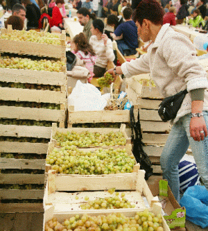 Preţul fructelor creşte în timpul raziilor din angrouri