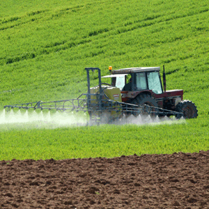 Baciu (LAPAR): Agricultura ar putea pune în mişcare industria ţării