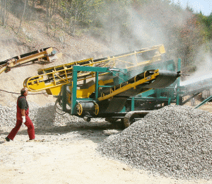 Procesul "Roman Copper" blochează privatizarea "Cupru Min"