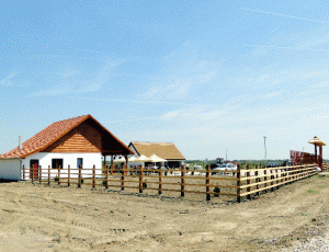 The first buffalo farm in the county of Arad is active in the town of Pecica