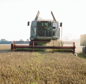 Achim Irimescu: Sperăm să ajungem la 21 miliarde euro - fonduri europene pentru agricultură, din următorul buget