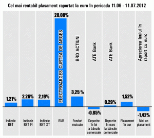 Plus de 28,08% pentru acţiunile "Electroargeş"