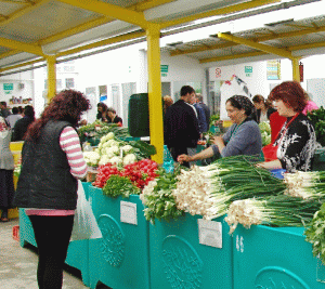 Sorin Minea: 2012 ar putea fi anul falimentelor în alimentaţie