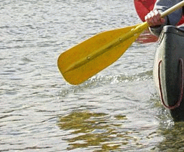 Dezamăgire totală şi la kaiac - canoe