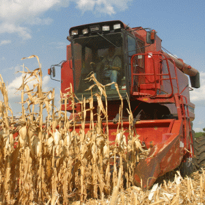 Agricultura a primit cei mai mulţi bani, la a doua rectificare bugetară