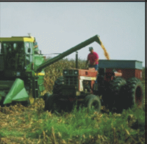 Micii agricultori europeni, nemulţumiţi de planurile de revizuire a PAC