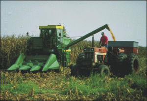 Agricultura a întârziat cu un an investiţii de sute de milioane de euro în industria alimentară