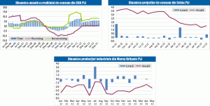 MACRO NEWSLETTER: 10 iulie 2013