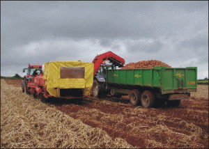 Agricultorii vor o bancă specializată