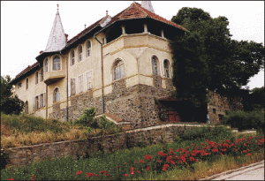 Muzeul vinului si viei de la Gioroc, un obiectiv care nu trebuie sa lipseasca din proiectul Drumul Vinului