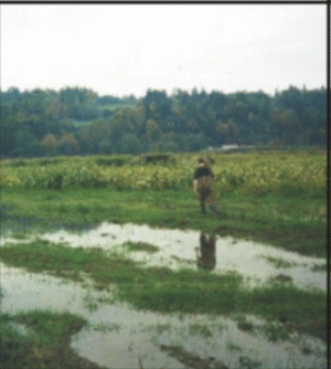 Statul lasă agricultorii la mila naturii