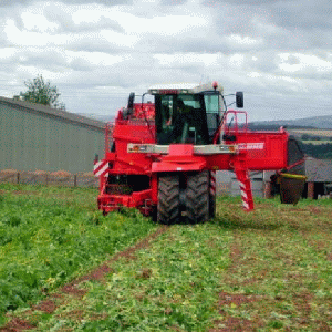 Agricultorii se aliază cu avocaţii împotriva legii vânzării terenurilor agricole