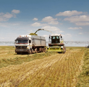 Autorităţile vor să reducă utilizarea pesticidelor agricole