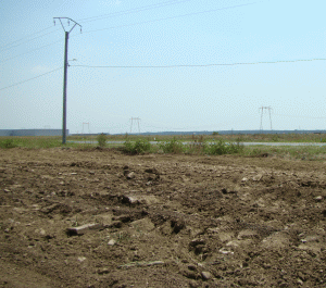 Agricultura se reia în regiunea Cernobîl