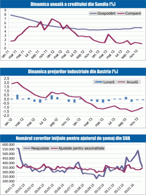 MACRO NEWSLETTER 31 ianuarie 2014