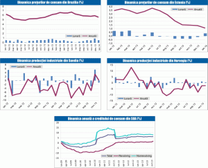 MACRO NEWSLETTER 11 februarie 2014