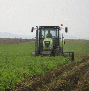 Regulile privind vânzarea terenurilor agricole se vor aplica şi persoanelor juridice