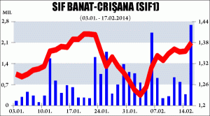 Profitul SIF Banat-Crişana anul trecut, cu 33,4% peste nivelul previzionat