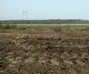 Intabularea gratuită a terenurilor agricole şi forestiere, altădată