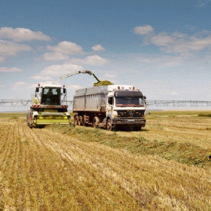 Fermierii, îngrijoraţi de intervenţiile primarilor în vânzarea terenurilor agricole