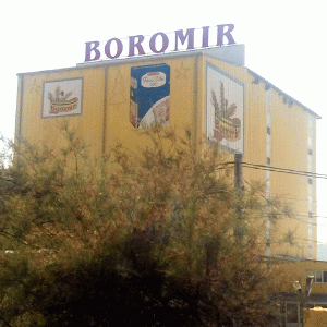 "Boromir Prod" vrea să ia un împrumut de 15,3 milioane lei