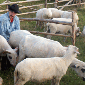 Comerţul agroalimentar, din nou pe deficit