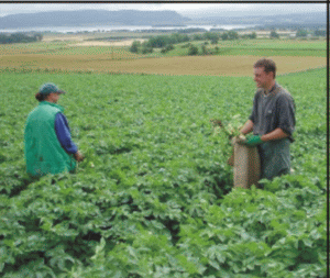 Agricultura a tras economia în jos, anul trecut