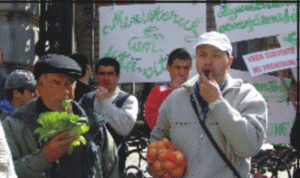 Agricultura fluieră a pagubă