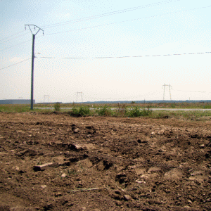 Terenurile agricole din judeţele Timiş, Vaslui şi Arad au înregistrat cele mai multe oferte de vânzare