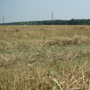 Saltul agriculturii de la carul cu boi la drone