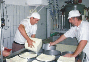 "Prodlacta" Braşov - curtată de francezii de la "Lactalis"